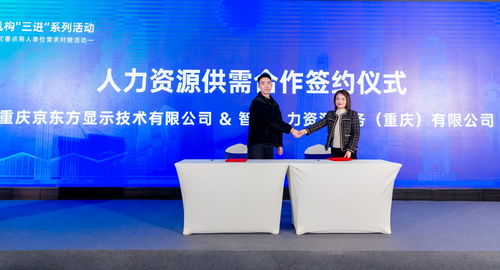 渝中區舉辦優質人力資源服務推介與重點單位需求對接活動，譜寫產業發展新篇章